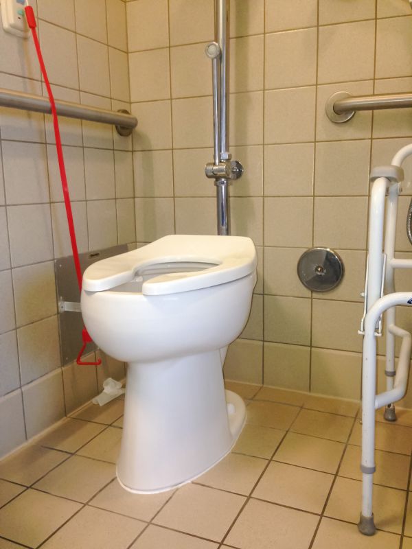 Elevated Toilet